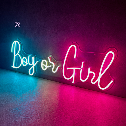 Boy or Girl Neon Sign