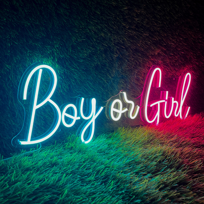 Boy or Girl Neon Sign