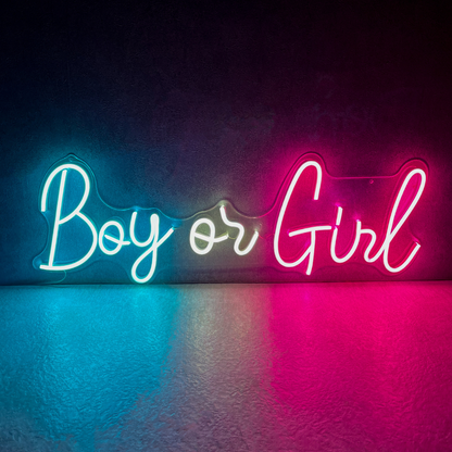 Boy or Girl Neon Sign